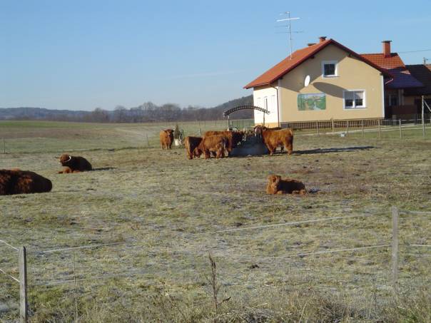 salovci_ekoloska_kmetija_rengeo_3